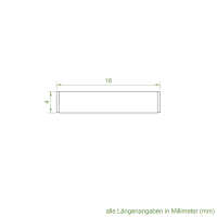 Geiger Spiralspannstift SPS11 | Nirosta | 4 mm | Länge 18 mm | blank