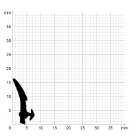 Zeichnung des Dichtungsprofils der Anschlagdichtung AS001.