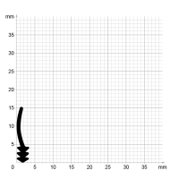 Maßstabgetreuer Profilquerschnitt der Lippendichtung LP060 auf Millimeterpapier.