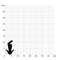 Maßstabgetreuer Profilquerschnitt der Lippendichtung LP150 auf Millimeterpapier.