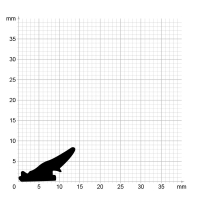 Maßstabgetreuer Profilquerschnitt der Lippendichtung LP262 auf Millimeterpapier.