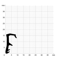 Maßstabgetreuer Profilquerschnitt der Flügelfalzdichtung FF041 auf Millimeterpapier.