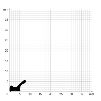 Maßstabgetreuer Profilquerschnitt der Lippendichtung LP348 auf Millimeterpapier.