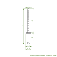 DEFLEX Blindniete Flachrundkopf 3,2 x 10 mm | Edelstahl/Edelstahl