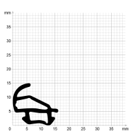 Maßstabgetreuer Profilquerschnitt der Lippendichtung LP436 auf Millimeterpapier.