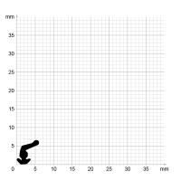 Maßstabgetreuer Profilquerschnitt der Lippendichtung LP442 auf Millimeterpapier.