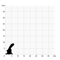 Maßstabgetreuer Profilquerschnitt der Lippendichtung LP482 auf Millimeterpapier.