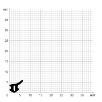 Maßstabgetreuer Profilquerschnitt der Lippendichtung LP501 auf Millimeterpapier.