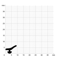 Maßstabgetreuer Profilquerschnitt der Lippendichtung LP526 auf Millimeterpapier.