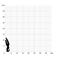 Maßstabgetreuer Profilquerschnitt der Lippendichtung LP532 auf Millimeterpapier.