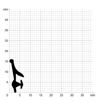 Zeichnung des Dichtungsprofils der Anschlagdichtung AS163.